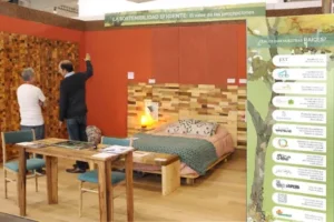 47991688913_b39f04749a_z-1